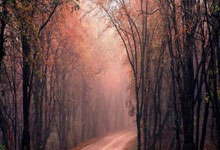 股票配资实盘:配资公司选配资配资-超7亿元！北京人形完成首轮市场化融资 具身天工3.0即将发布